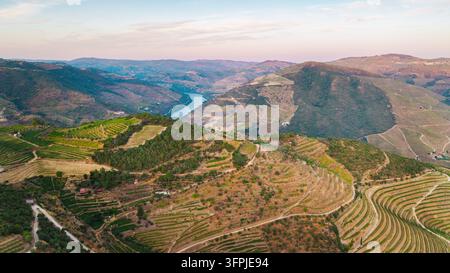 Panoramische Blick von oben zeigt terrassierte Weinberge und den Douro, der sich durch Portugals bergiges Weinland schlängelt. Stockfoto