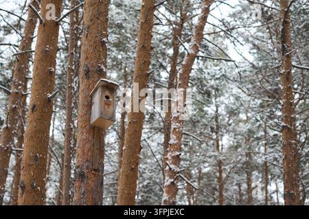 Vogelhaus aus Holz, das an einer Kiefer in einem verschneiten Wald hängt Stockfoto