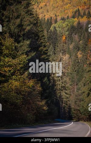 Leere Straße im tiefen Wald. Autobahn in den Karpaten. Kurvenstraße im Herbstwald. Landschaftliche Waldlandschaft. Reisezielkonzept. Stockfoto