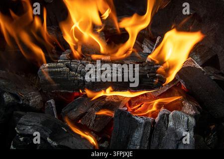 Nahaufnahme von schwarzen Hartbrand-Kohlebrocken mit rauer, rissiger Oberfläche und sichtbarer Holzmaserung. Dunkle natürliche Textur für Barbecue-Menüs, Grillwerbung, Energie Stockfoto