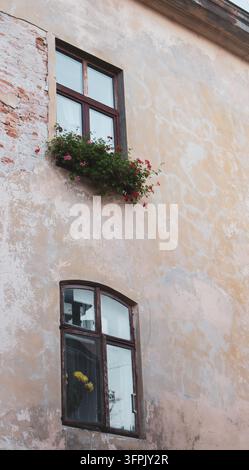Wand mit Fensterläden und Blumenkästen. Elegante Architektur in Lemberg, Ukraine. Fassadendekoration. Außendesign. Hausdekoration mit Blumen Stockfoto