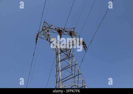 Vor einem klaren blauen Himmel sind auf dem Metallgerüst eines Hochspannungsmastes mehrere Vogelnester gebaut, die die Koexistenz von Industrie zeigen Stockfoto