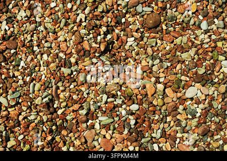 Kleine Steine, Kieselsteine am Strand in Montenegro. Hintergrund aus Steinen Stockfoto