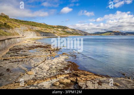 Broad Ledge in Lyme Regis an der Jurassic Coast, Dorset Stockfoto