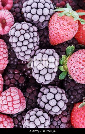 Die gefrorenen Beeren von Himbeeren, Brombeeren, Blaubeeren, Erdbeeren, bedeckt mit Raureif. Stockfoto