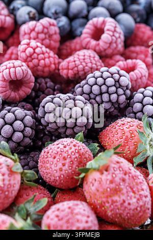 Die gefrorenen Beeren von Himbeeren, Brombeeren, Blaubeeren, Erdbeeren, bedeckt mit Raureif. Stockfoto
