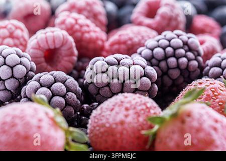 Die gefrorenen Beeren von Himbeeren, Brombeeren, Blaubeeren, Erdbeeren, bedeckt mit Raureif. Stockfoto