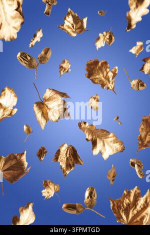 Goldene Herbstblätter, die auf einen blauen Hintergrund fallen. Kreative Herbstkomposition. Stockfoto