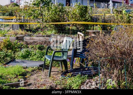 Plastiktuchstühle neben Hochbeeten in einem städtischen Gemeinschaftsgarten an einem sonnigen Herbsttag gestapelt Stockfoto