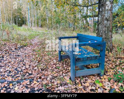 Eine einsame blaue Holzbank steht unter einem Baum in einem Herbstpark in Espoo, Finnland, mit trockenen Birkenblättern, die auf dem Boden und der Sitzfläche der Bank verstreut sind, ev Stockfoto