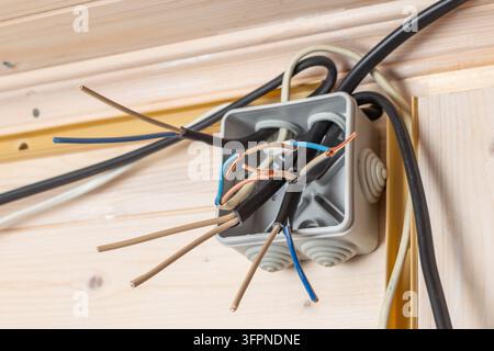 Offene Anschlussdose mit mehreren freiliegenden Kupfer-, Blau- und Braunleitungen, bereit für die elektrische Installation in einem Holzhaus. Stockfoto