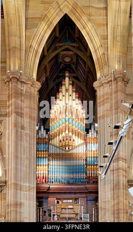 Gestanzte Orgelpfeifen in Blau in der St. Andrew's Cathedral in Sydney, Australien Stockfoto