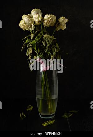 Welkende weiße Rosen in einer Glasvase mit trübem Wasser auf einem dunklen Hintergrund, gefallene Blätter auf einem schwarzen Tisch. Stockfoto