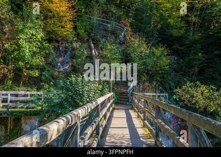 Eine hölzerne Brücke und steinerne Treppen führen durch dichte Bäume und Felsen an der Ilz im Herbst im Bayerischen Wald. Stockfoto