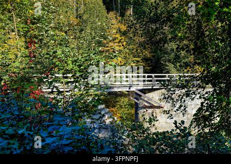Eine hölzerne Brücke und steinerne Treppen führen durch dichte Bäume und Felsen an der Ilz im Herbst im Bayerischen Wald. Stockfoto