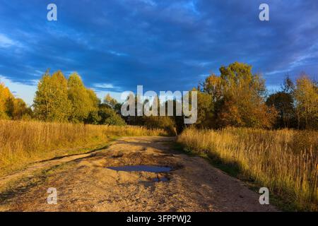 Holprige Landstraße mit schlammigen Pfützen, die durch goldenes Herbstgras führen, flankiert von bunten Bäumen unter einem dramatischen, stürmischen blauen Himmel Stockfoto