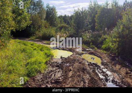 Schlammige Geländepiste mit tiefen Reifenspuren und großen Regenwasserpfützen, die sich durch eine üppige grüne Sommerwaldlandschaft unter hellem Tageslicht schlängelt, Land Stockfoto