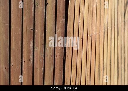 Sonnenbeschienener Holzzaun im Nahaufnahme aufgenommen, zeigt vertikale Latten, verwitterte Maserung und einen schmalen Spalt mit subtilen Schatten. Rustikale Textur und wiederholtes P Stockfoto