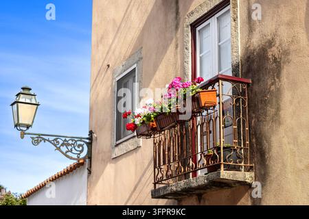 Ansicht der traditionellen Architektur von Alfama mit einem schmiedeeisernen Balkon mit lebhaften rosa und weißen Geranien und einer verzierten Straßenlaterne an einem Gebäude Stockfoto