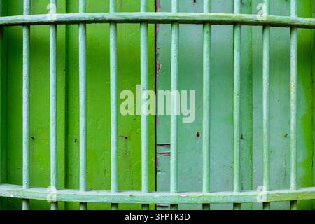 Hellgrün gestrichene Eisenstangen über limettengrüner doppelter Holztür, vertikales Fenstergitter-Sicherheitselement Stockfoto