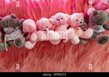 Rosa Teddybären auf flauschigem Hintergrund. Reihe von weichen rosa und grauen Teddybären, die vor einem flauschigen rosa Hintergrund ausgestellt sind, was ein niedliches, verspieltes und Stockfoto