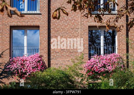 Blumen schmücken die Fenster eines roten Backsteingebäudes in der Stadt Kopenhagen, Dänemark Stockfoto