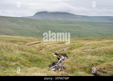 BACKEN DURCH DIE BRECON BEACONS-LANDSCHAFT, FAN BRYCHEINIOG WANDERPFAD, WALES, BRECON BEACONS, WALES, 2018: Ein kleiner Bach windet sich durch eine weite, grüne und leere Landschaft unter einem bewölkten Himmel in den Brecon Beacons, Wales. INFO: Der klassische Fan Brycheiniog Rundwanderweg im Brecon Beacons Nationalpark ist eine dramatische Hochgebirgskammwanderung. Höhepunkte sind Ausblicke über die Bergkette zum Pen Y Fan und dem malerischen Gletschersee Llyn y Fan Fach. Stockfoto