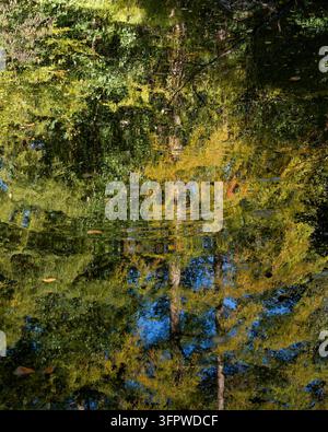 Abstrakte impressionistische Wasserreflexion von Herbstwald und blauem Himmel Stockfoto