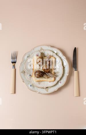 Lebende Landschnecken auf getoastetem Brot, konzeptionelle französische Delikatessenmahlzeit. Stockfoto