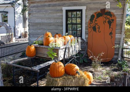Halloween-Kürbisdarstellung mit Kürbissen in einem Holzwagen Stockfoto