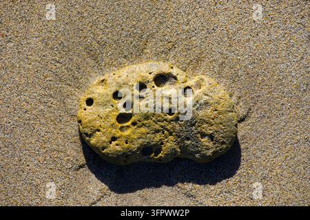 Steine, die im Sand an einem Strand im Sonnenlicht liegen Stockfoto