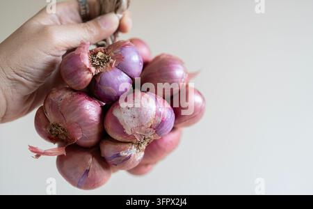 Zuschnittbild einer asiatischen Frau, die einen roten Zwiebelbund hält, vor hellbeigem Hintergrund. Nahaufnahme. Stockfoto