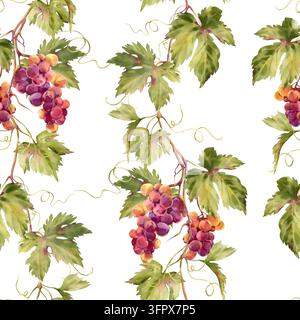 Trauben nahtloses Aquarellmuster. Ornament mit handgezeichneten Ranken, Trauben und Weinblättern Stockfoto