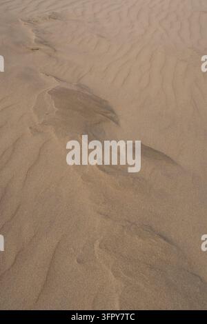 Nahaufnahme von windgeformtem Strandsand mit zarten Rillen, feinen Körnern und subtilen natürlichen Mustern. Stockfoto