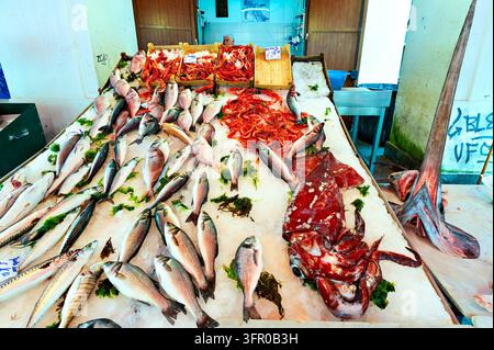 Brachsen, Barsch, Makrele und rote Garnelen auf zerstoßenem Eis an einem Fischstand in einem traditionellen sizilianischen Lebensmittelmarkt, Italien. Stockfoto