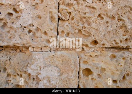 Vollbild-Makrotextur einer alten, honigwabenartigen Kalksteinwand in Malta. Stockfoto