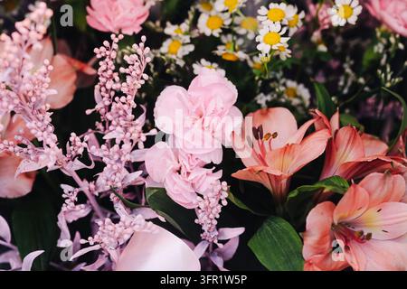 Buntes Blumenarrangement mit rosa Nelken, Lilien und kleinen weißen Gänseblümchen. Blumenstrauß-Hintergrund für Frühlingdeko, Floristik. Stockfoto