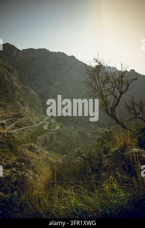 Eine Luftperspektive zeigt eine sich windende Bergstraße, die sich durch eine raue, felsige Landschaft in Mallorca, Spanien, schneidet. Die Szene ist in warmes, diffuses Licht getaucht Stockfoto