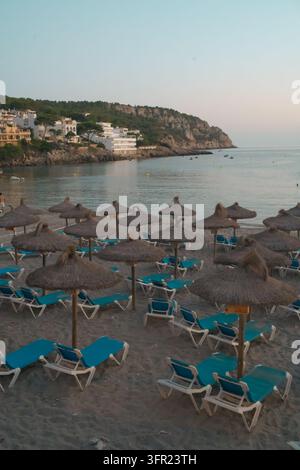 Ein leerer Sandstrand auf Mallorca, Spanien, geschmückt mit Reihen von Strohdächern und lebendigen türkisfarbenen Sonnenliegen. Die Szene spielt während der goldenen H Stockfoto