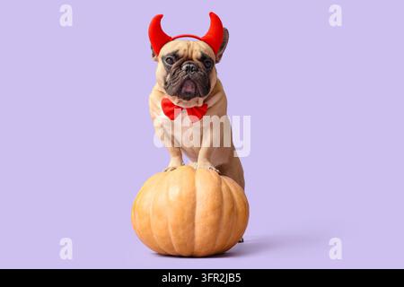 Halloween-Feier und Haustierkostüm, Französischer Bulldogge mit Teufelshörnern und roter Fliege, stehend auf einem Kürbis für eine Herbsturlaubsparty Stockfoto