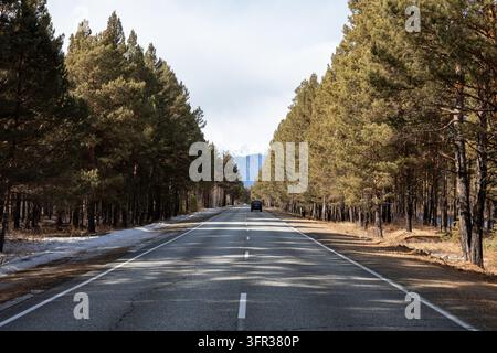 Pittoreske Aussicht entlang einer asphaltierten Straße, die durch einen dichten sibirischen Kiefernwald führt, mit fernen schneebedeckten Berggipfeln in der Republik Burjat Stockfoto