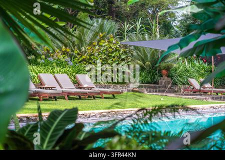 Schwimmbecken umgeben von üppigen tropischen Pflanzen. Tansania, Ostafrika Stockfoto
