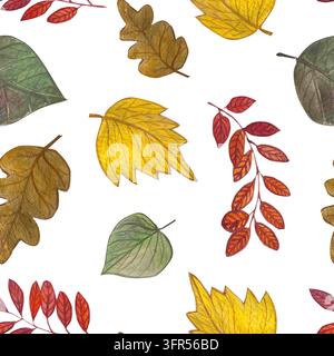 Herbstblätter Aquarell Buntes Handgezeichnetes Muster auf Weiß. Elemente für Ihr Design Stockfoto