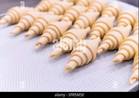 Nahaufnahme von flockigem, fluffigem Heferohteig für traditionelle französische Croissants auf einem Backblech, bereit zum Backen im Ofen. buttriges Blätterteig Stockfoto