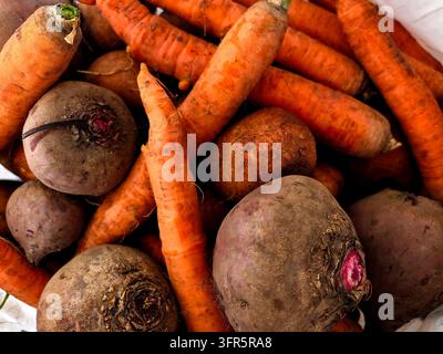 Frisch geerntetes ukrainisches Farmgemüse auf rustikalem Hintergrund. Rohe Kartoffeln, Karotten und Rüben aus dem örtlichen Garten. Stockfoto