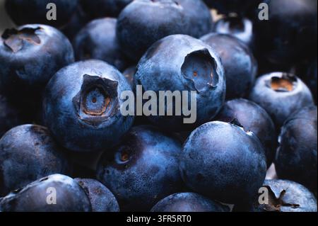 Gruppe frischer Blaubeeren, Nahaufnahme. Makro-Studioaufnahme Stockfoto