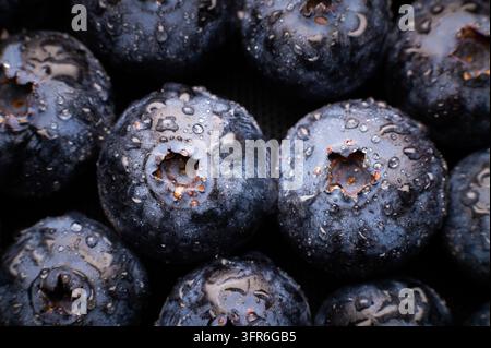 Frische Blaubeeren mit Wassertropfen. Nahaufnahme von nassen Blaubeeren über dem gesamten Hintergrund Stockfoto
