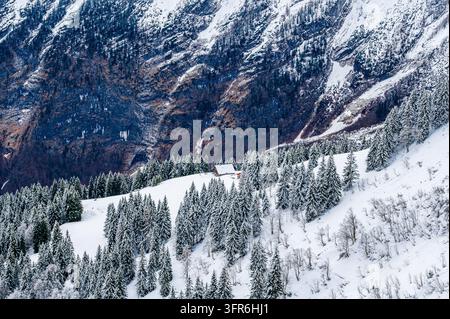Schneebedeckter Nadelwald an einem steilen alpinen Hang mit einer kleinen Holzhütte unter einer zerklüfteten Felswände in den Berchtesgadener Alpen, Bayern, Deutschland. Stockfoto