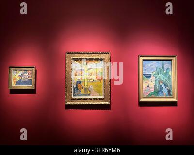 GUSTAVE FAYET SAMMLER AUSSTELLUNG FONDATION VUITTON PARIS Stockfoto