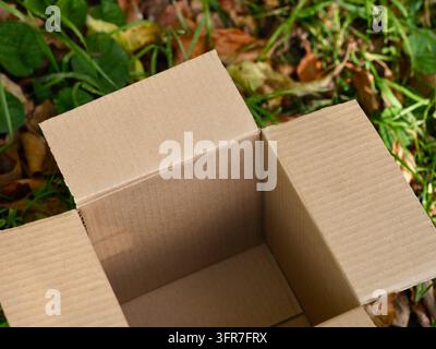 Ein offener leerer Karton, der auf einem grasbewachsenen Boden platziert ist, der mit Herbstblättern bedeckt ist. Stockfoto